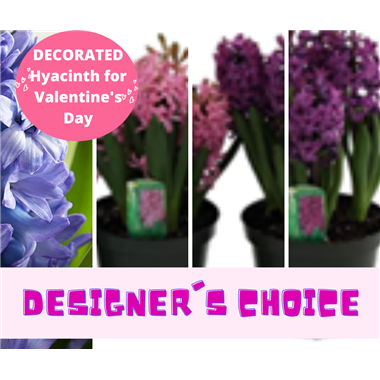 designers_choice_tiles_(5)
