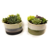 Rowan_pots_5_inch