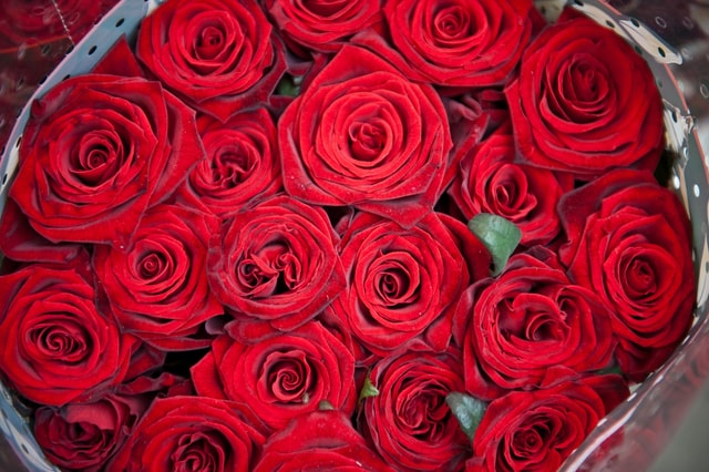 Red_Rose_Bouquet_of_Flowers